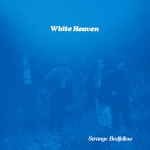 Forced Exposure | WHITE HEAVEN Forced Exposure | WHITE HEAVEN