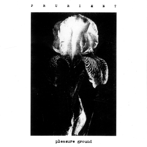 PRURIENT: Pleasure Ground
