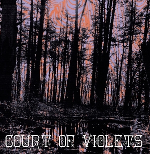 COURT OF VIOLETS: Court Of Violets