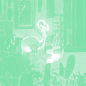 COOPER, MIKE: Stochastic Parrot