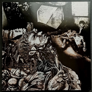 NURSE WITH WOUND: Merzbild Schwet
