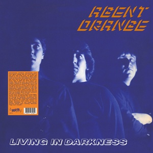 AGENT ORANGE: Living In Darkness